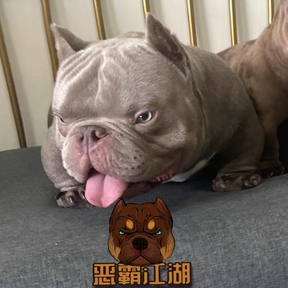 恶霸江湖