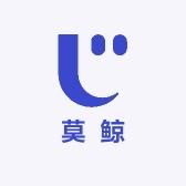 莫鲸影音专营店