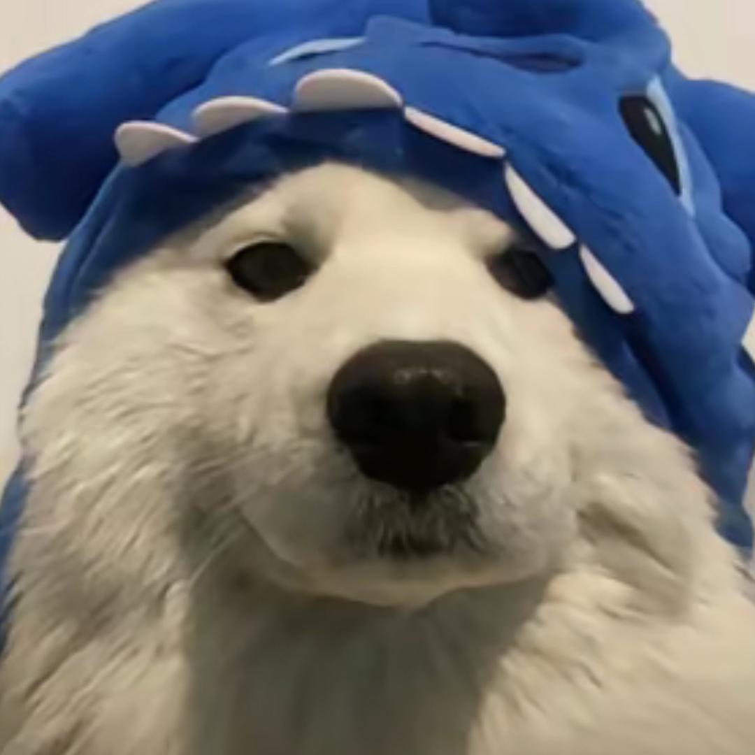 樂ㅤ