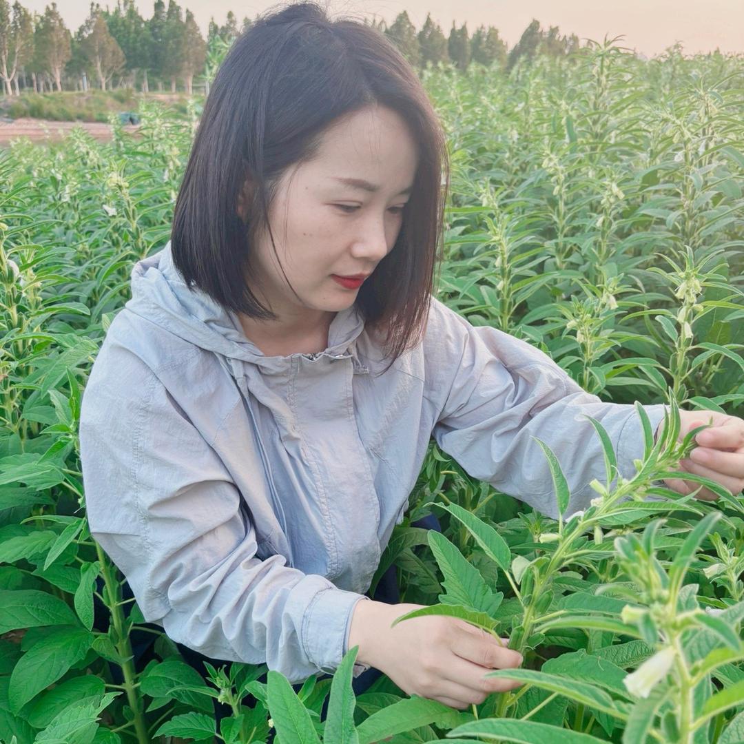 娟子说农资