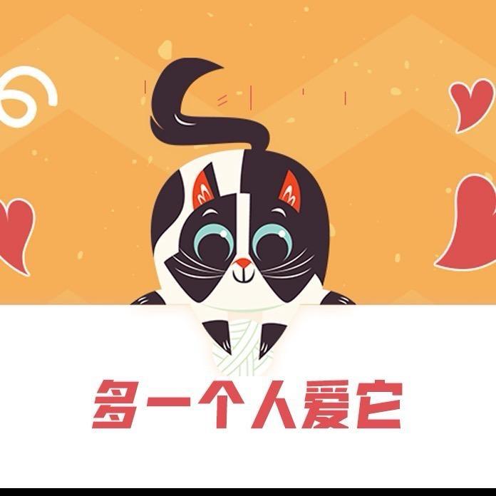 多一个人爱它德文猫