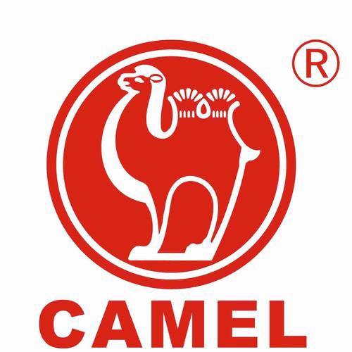 锦照骆驼蓄电池