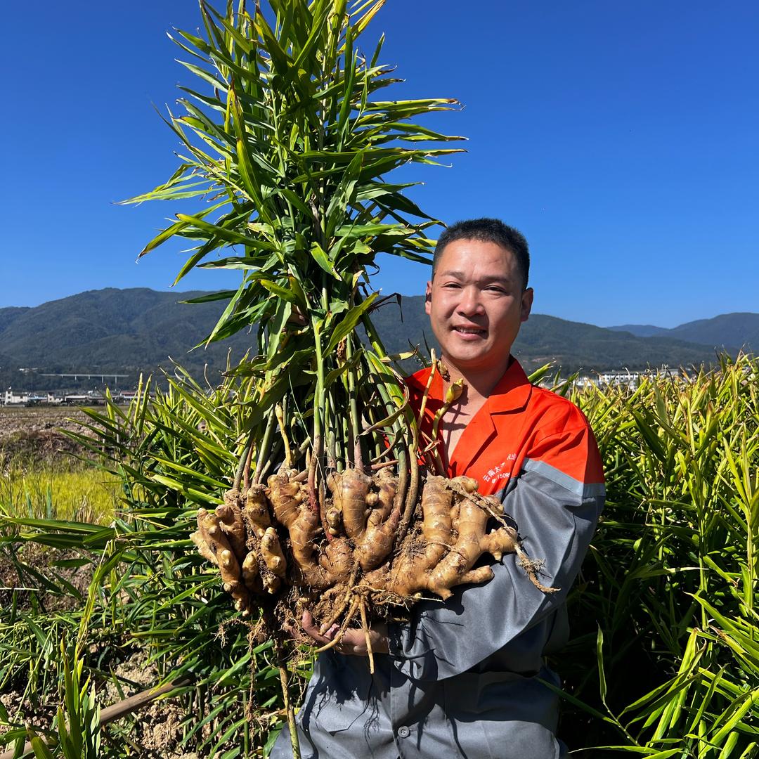 太溪邦别叫我姜王