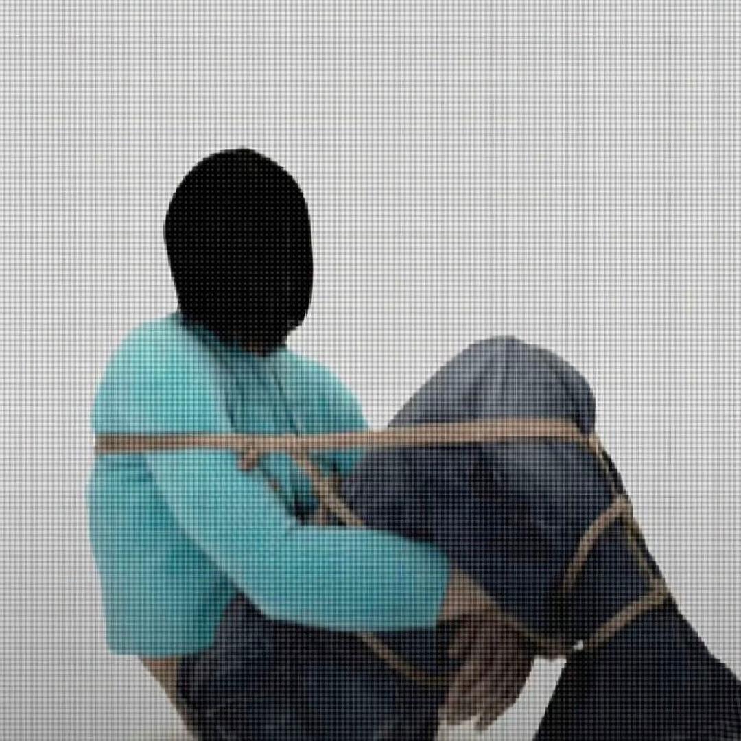 🤨（恩师伯努斯）