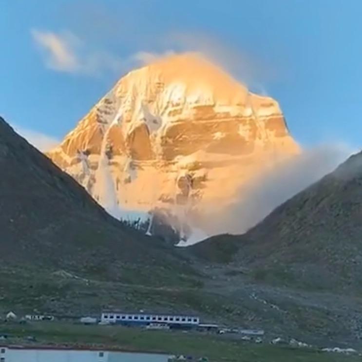 雪域冰川冬虫夏草（纯野生）