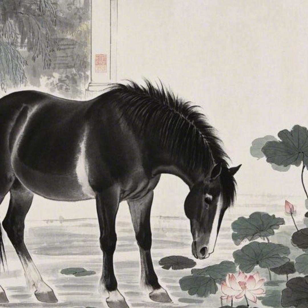 寻新居士