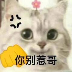 drunk^（必回关）