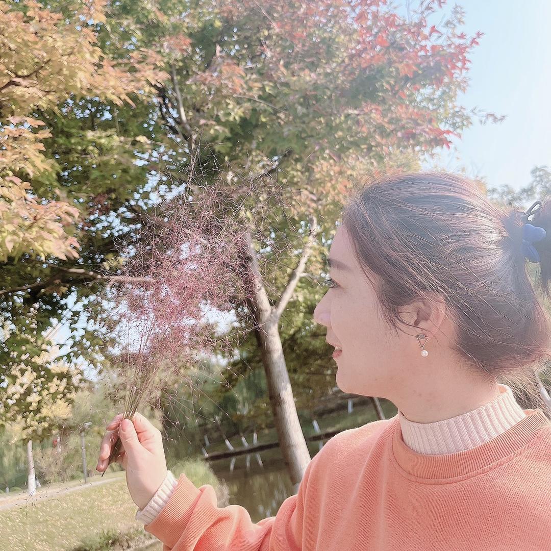 #南风知我意～吹梦到西洲（橱窗已开启）