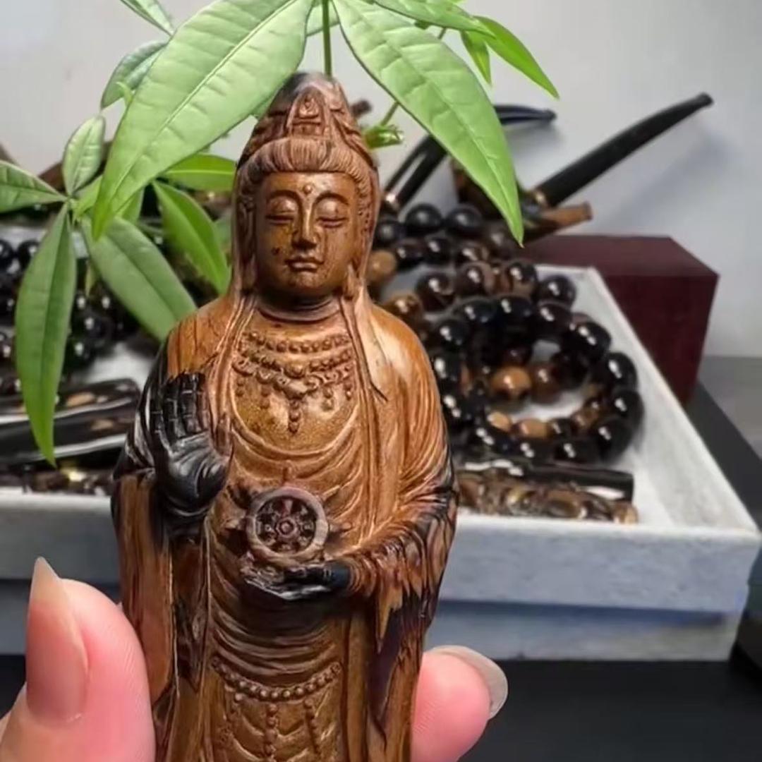 中楚海柳