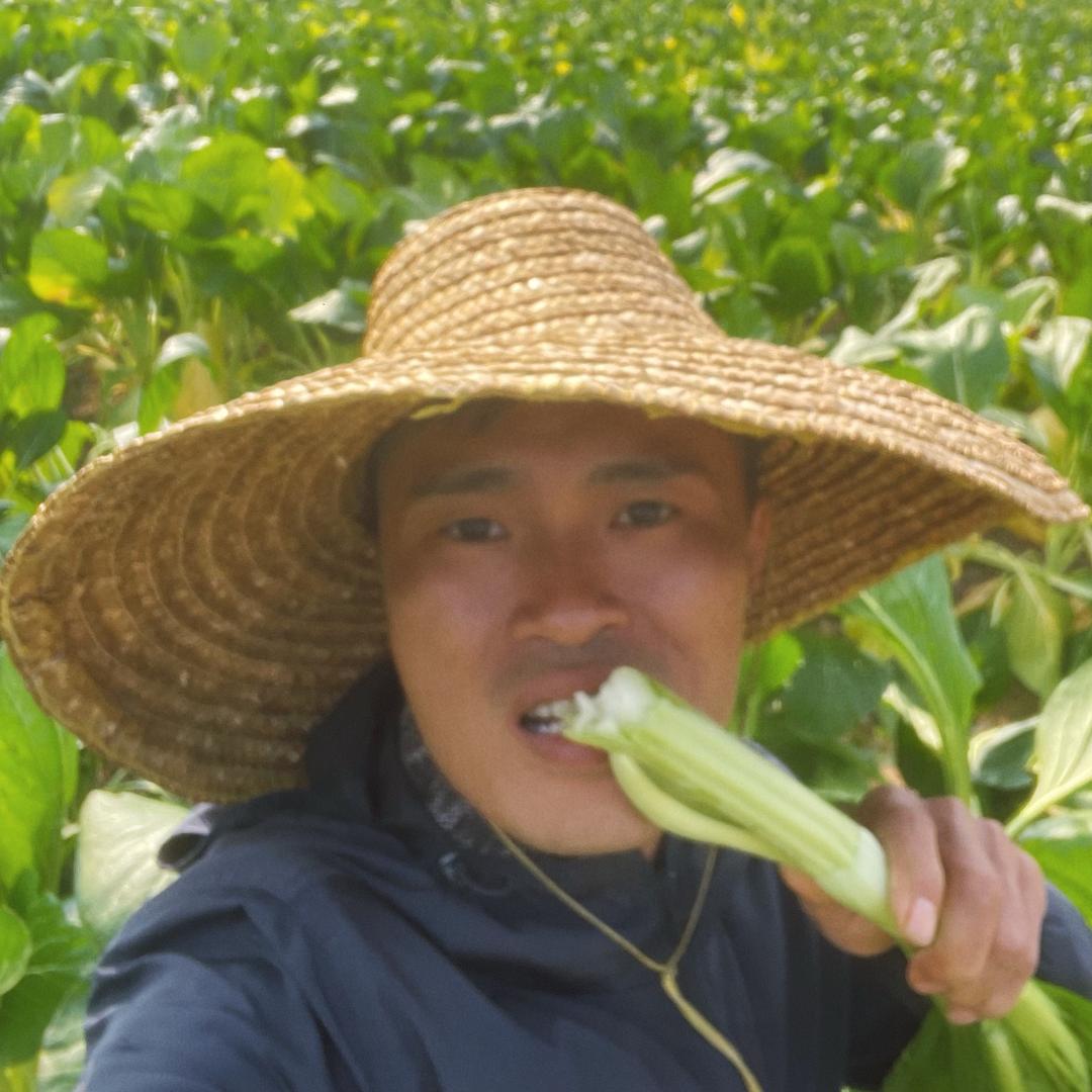 陈鲜生（清远连州菜心）