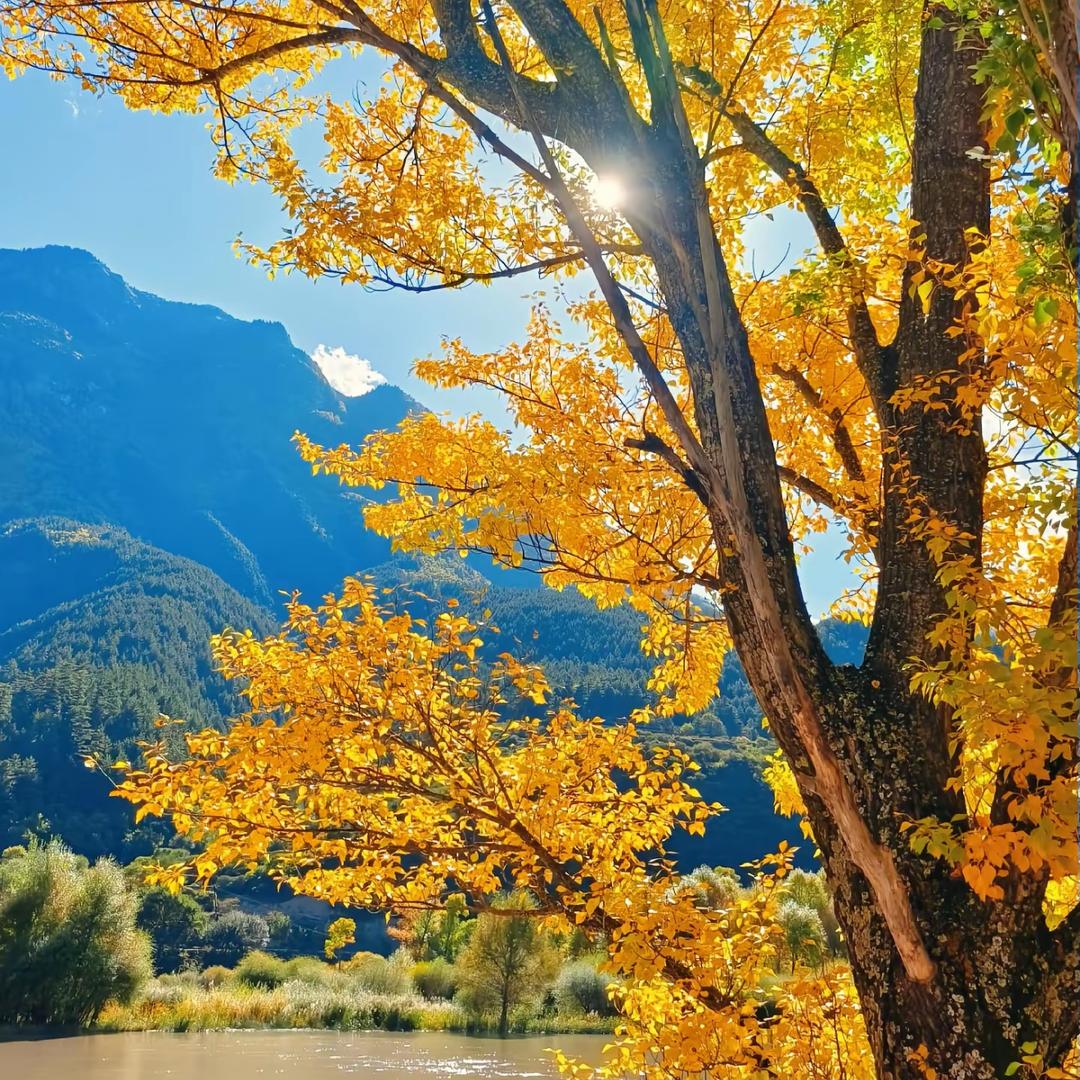 壹百堂《潮汕》