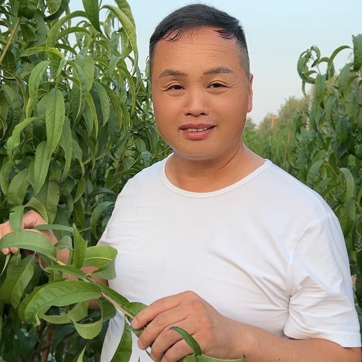 黄永水果专业技术