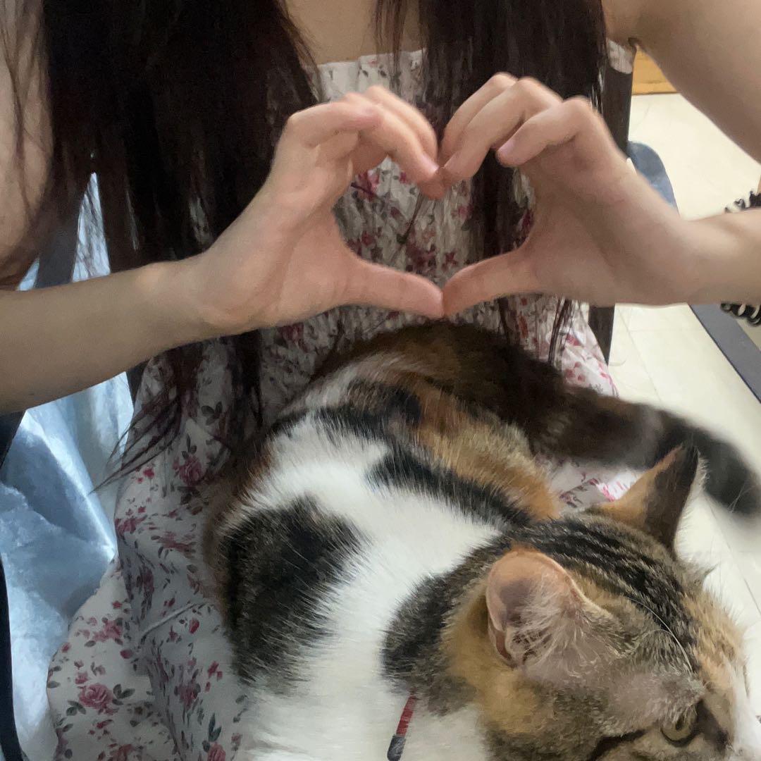 ᵃⁱ抛弃ʷᵒ