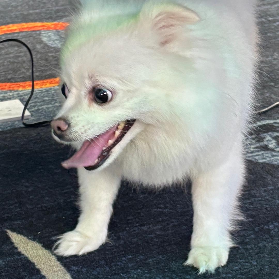🧊