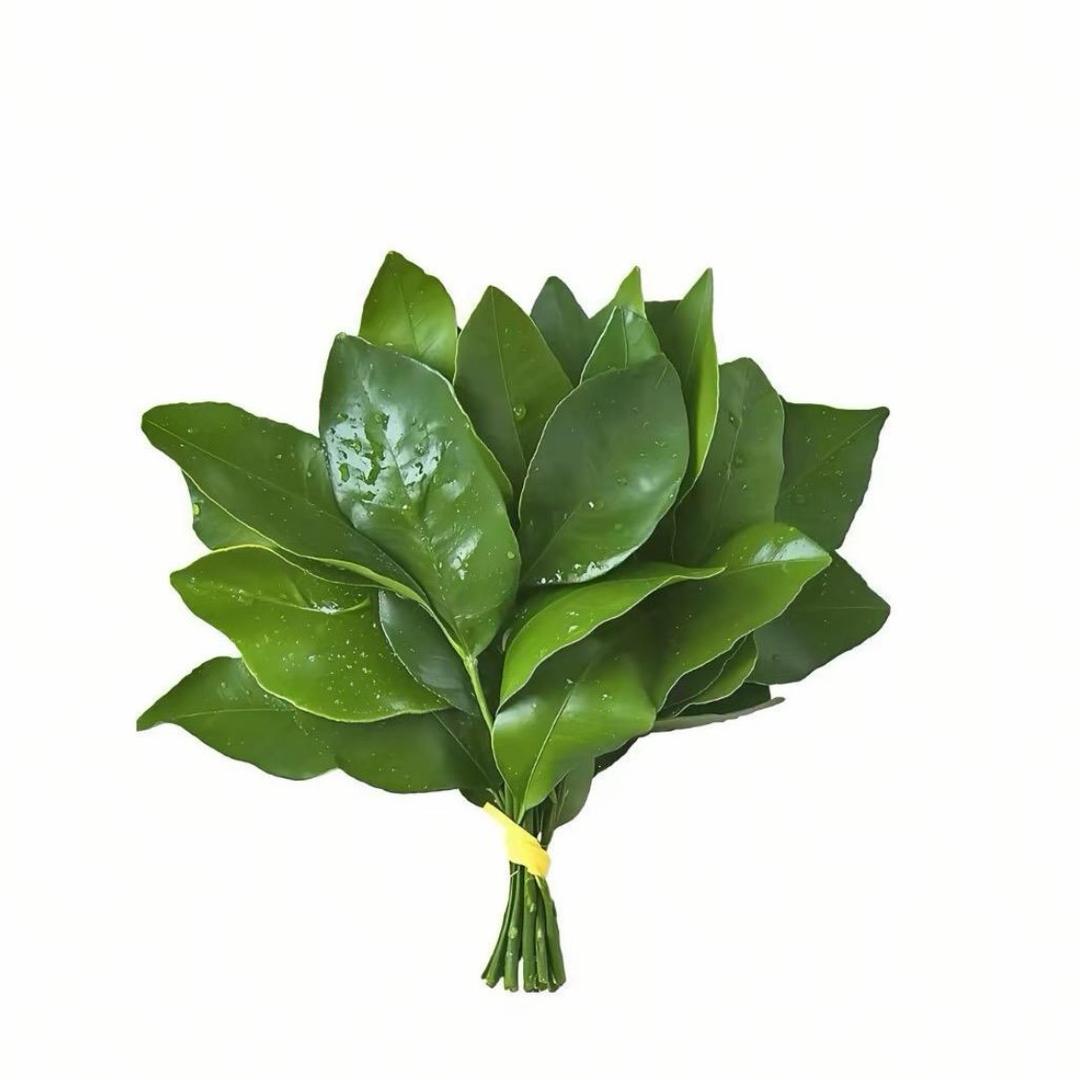 小纯妹子