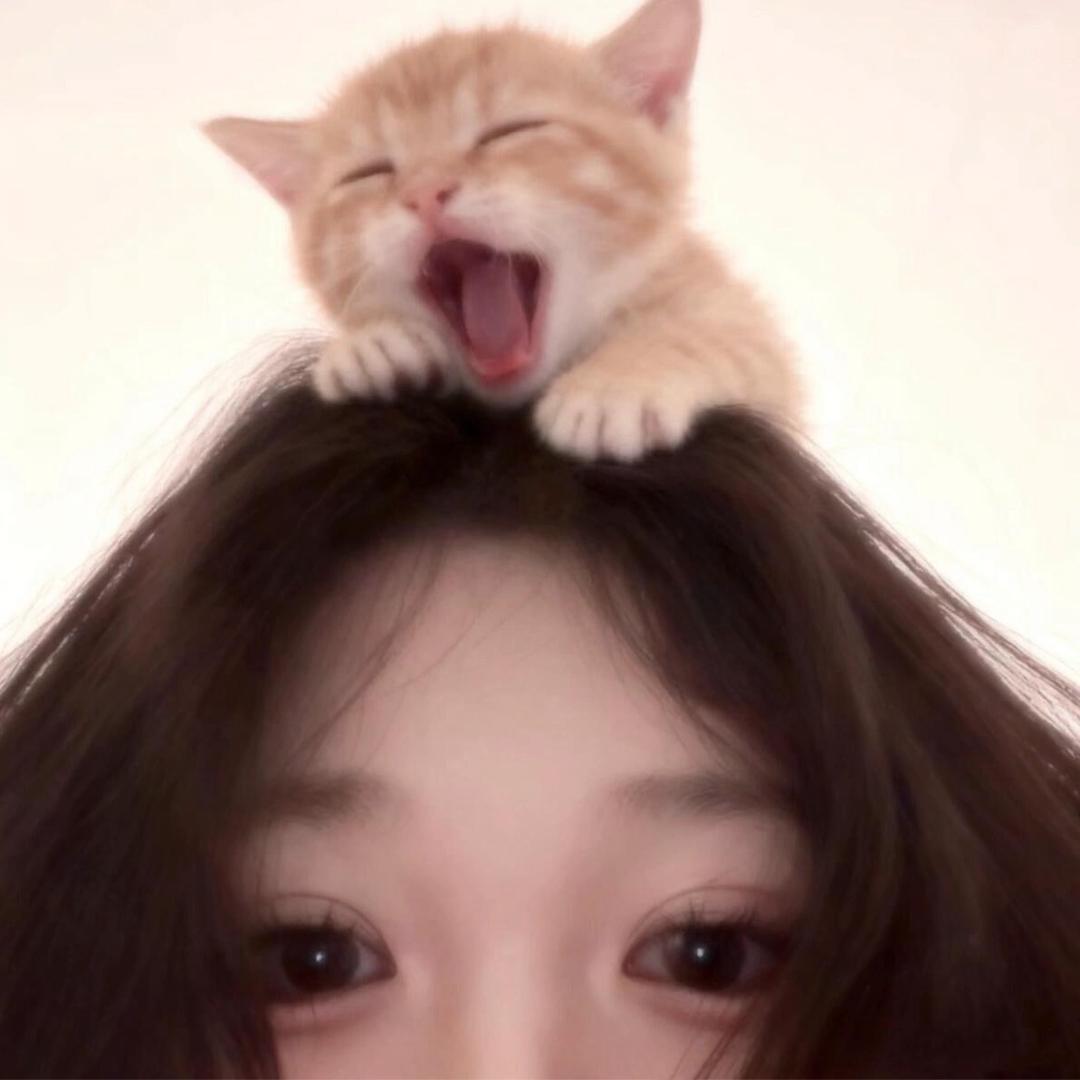 咕咕糕糕