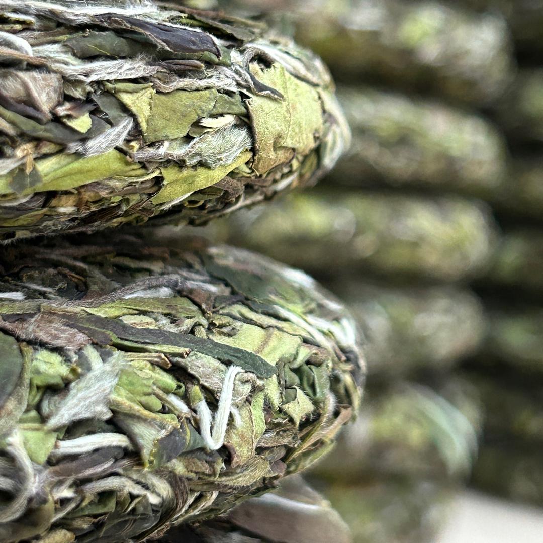 小杨哥（健康轻松美好）