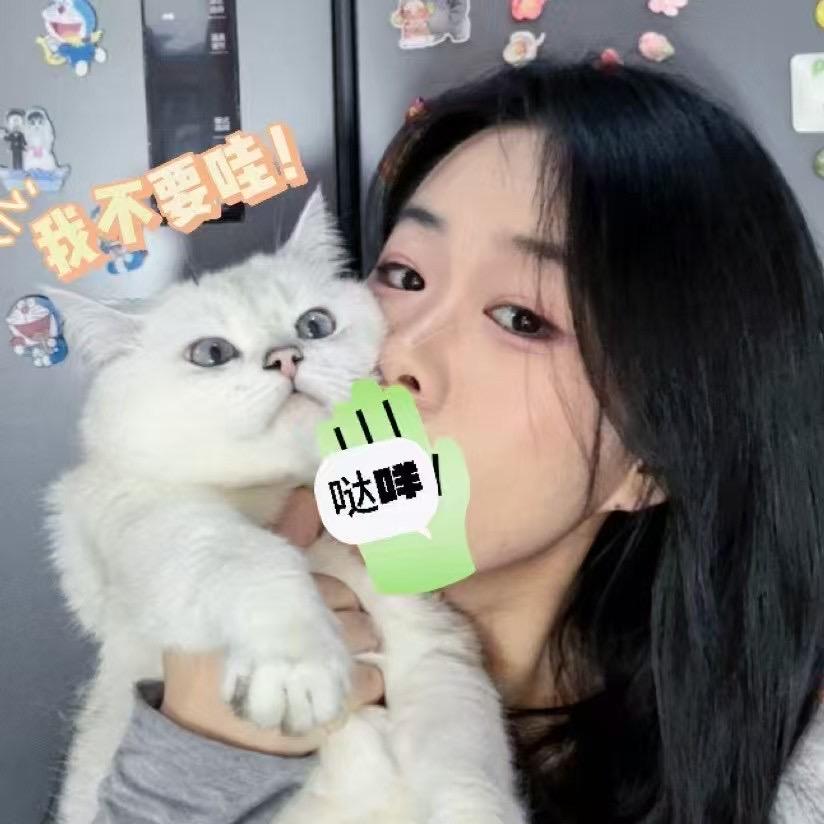 蛋黄有只猫