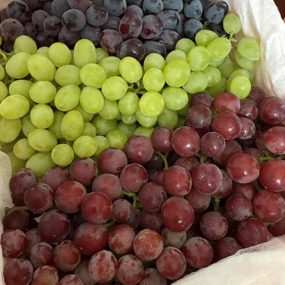 三颗葡萄