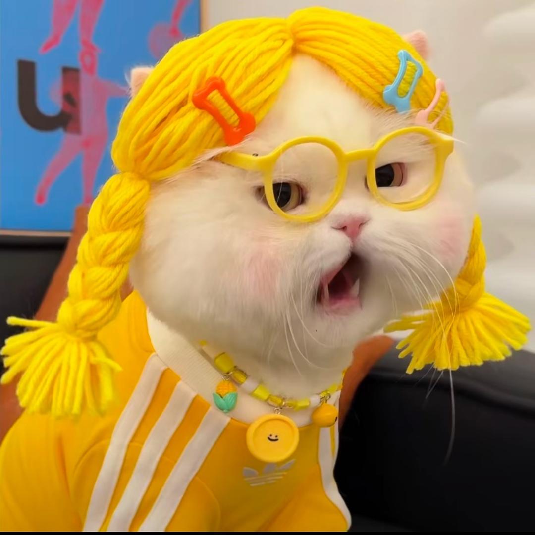 这周也要快乐🫧