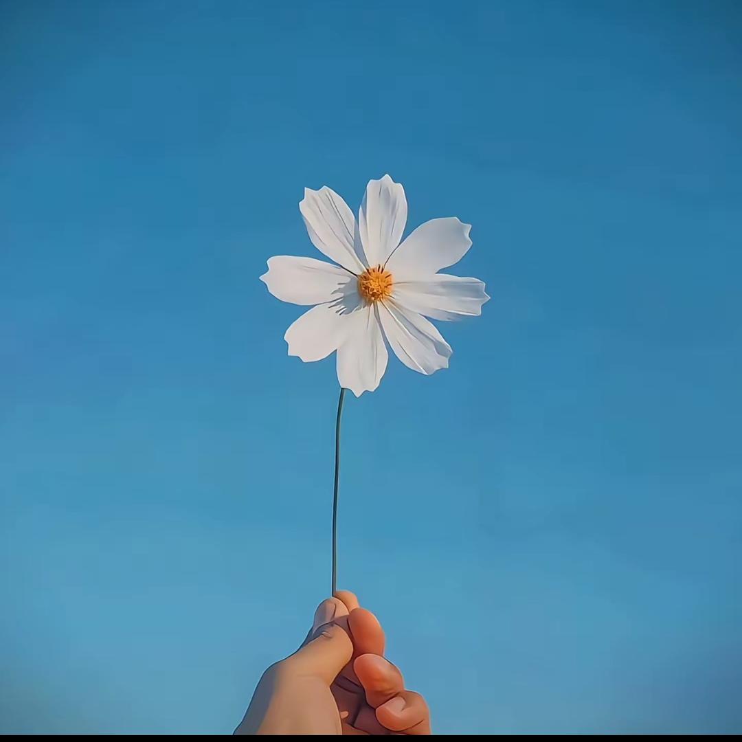 今安