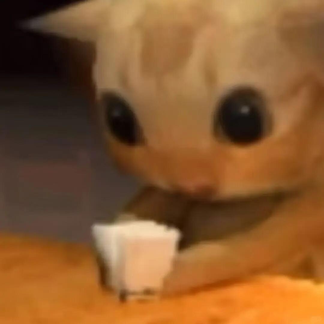 如果人人都懂咪的话那咪岂不是太普通啦