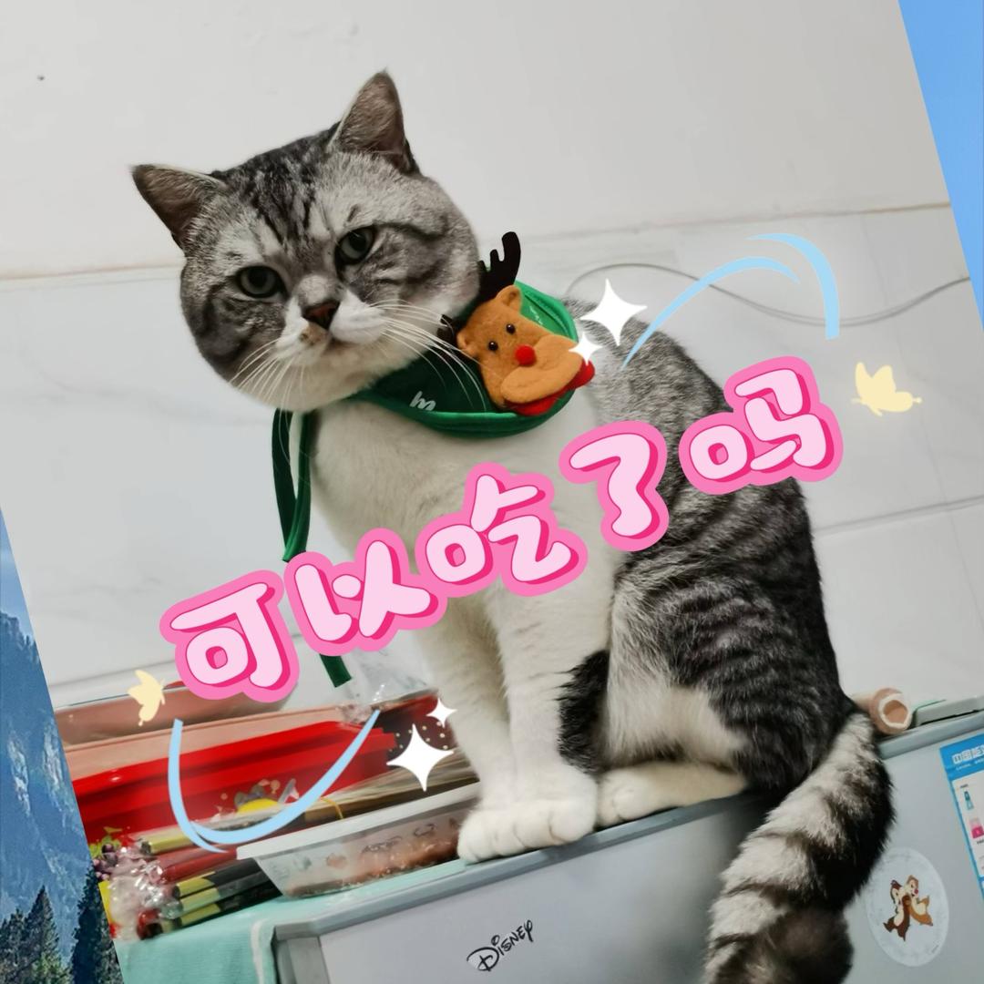 宜山歌
