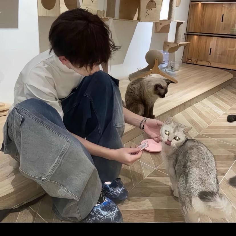 睡不着的泡泡糖