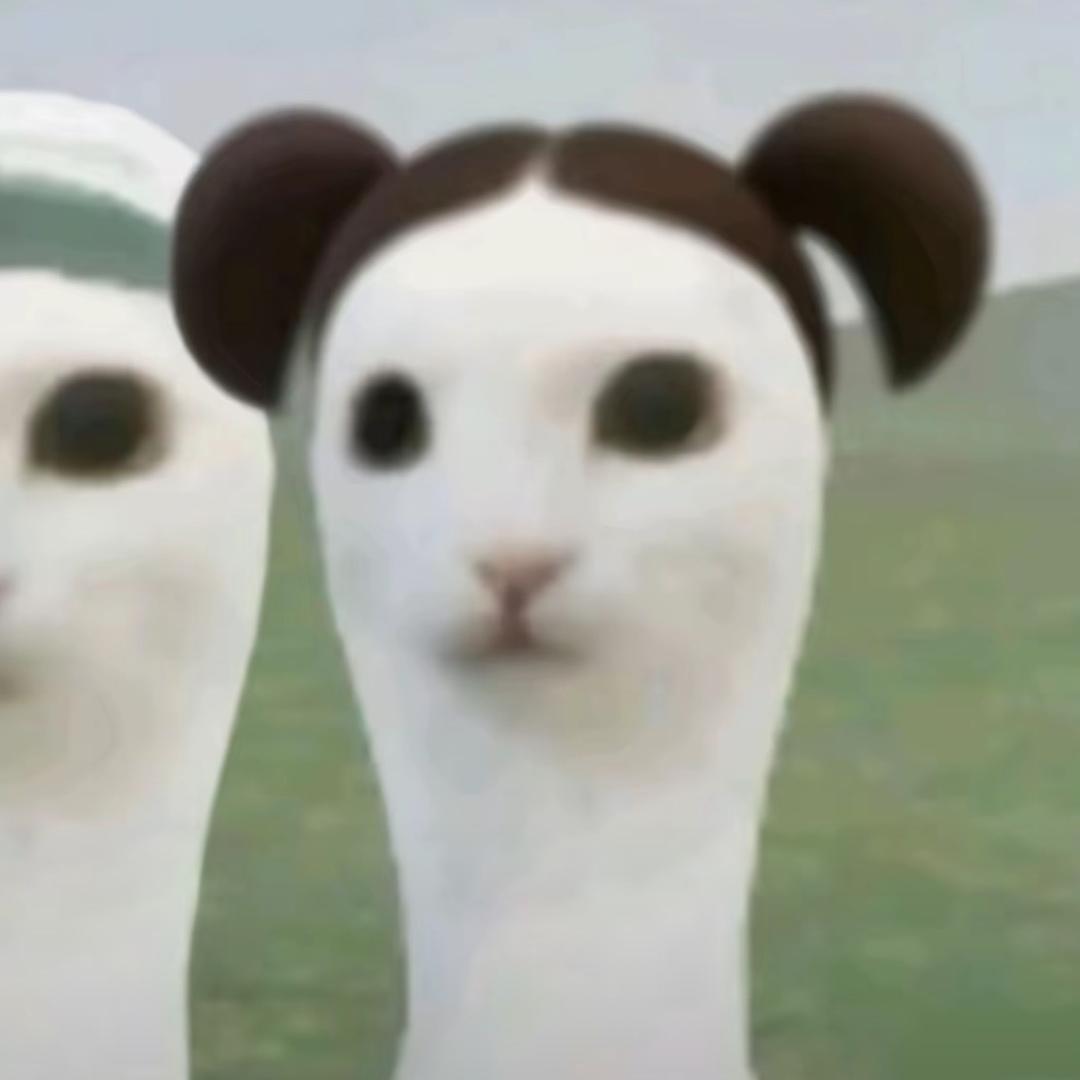 我好懒好懒