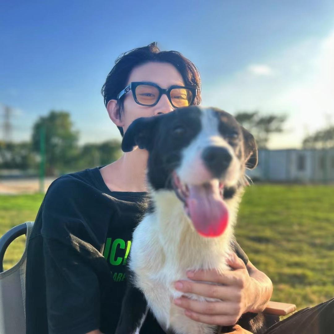 老高训犬