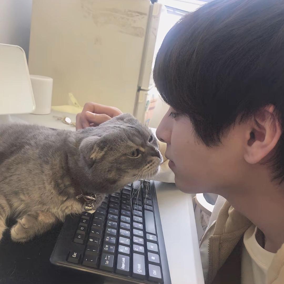 糊球藻