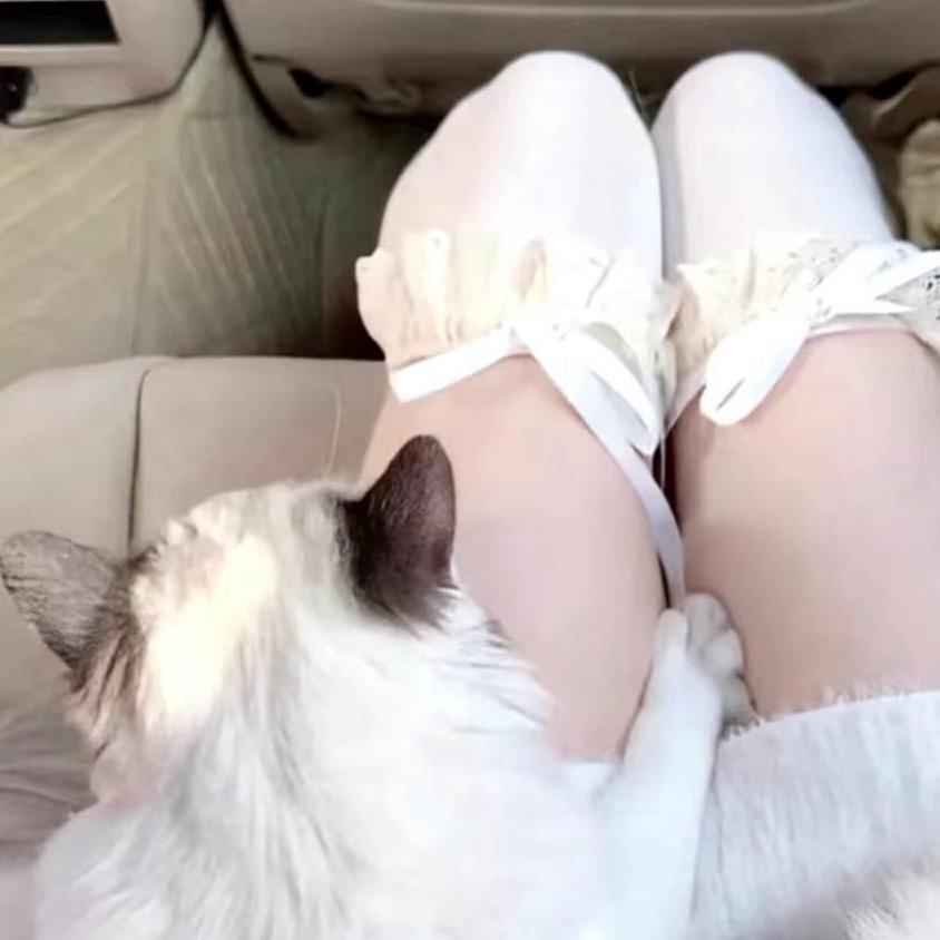 翩翩