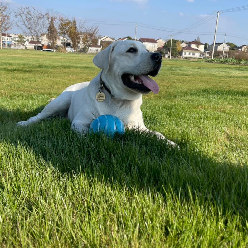 南京蝶尚百货商贸有限公司