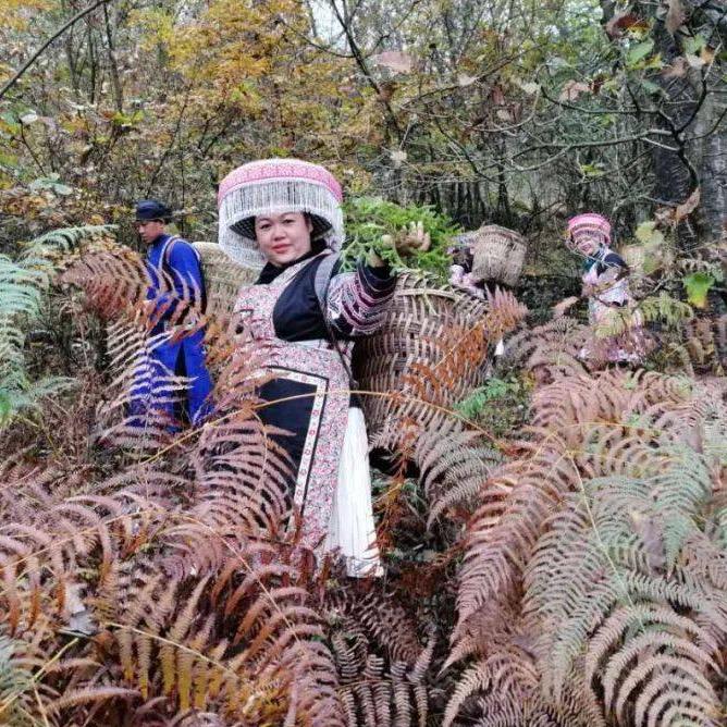 姐妹深山草本追风液