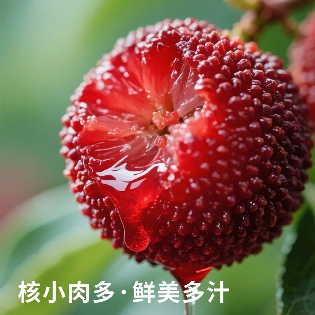 良辰果林
