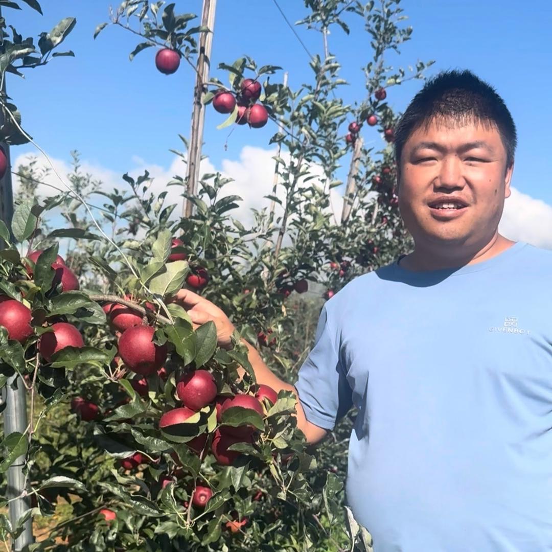 亮哥大凉山盐源丑苹果代办