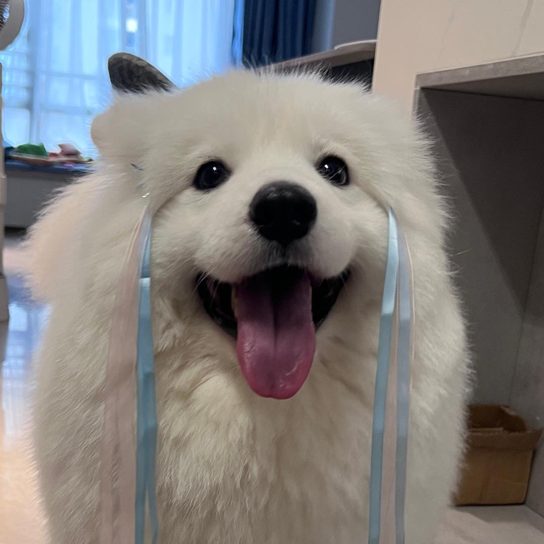 小宝妹妹