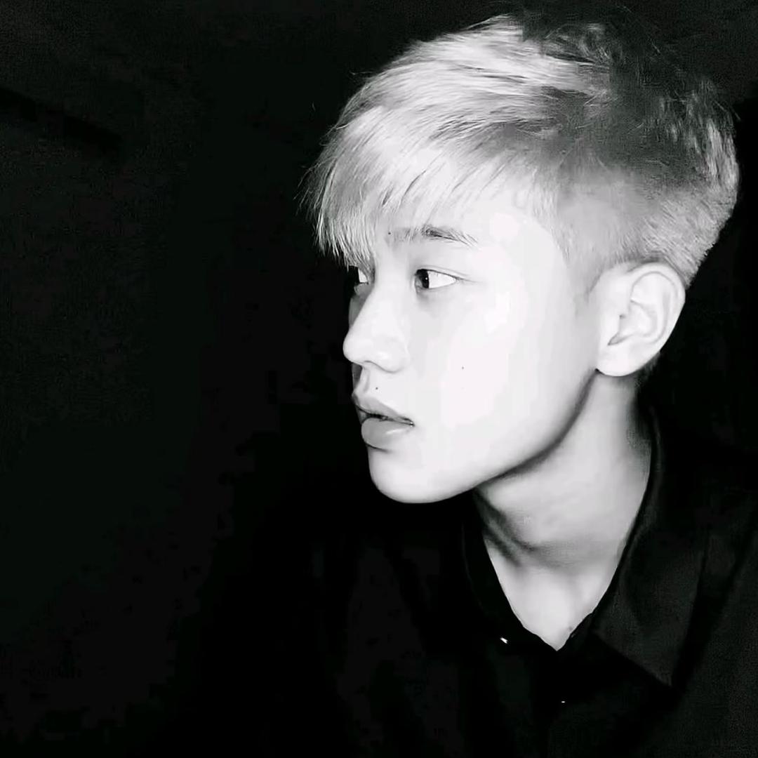 D.凯