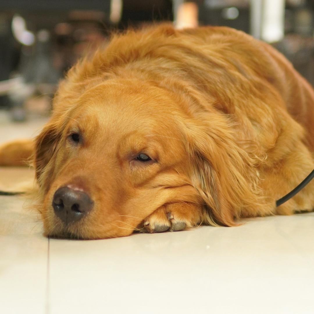 张十一和她的弟弟妹妹们