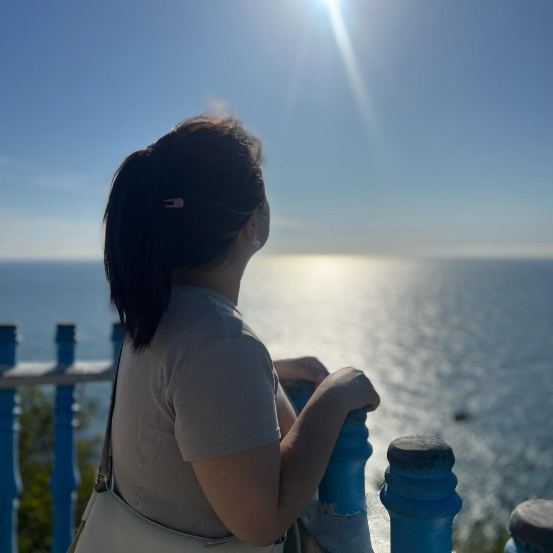 我是CC🌻