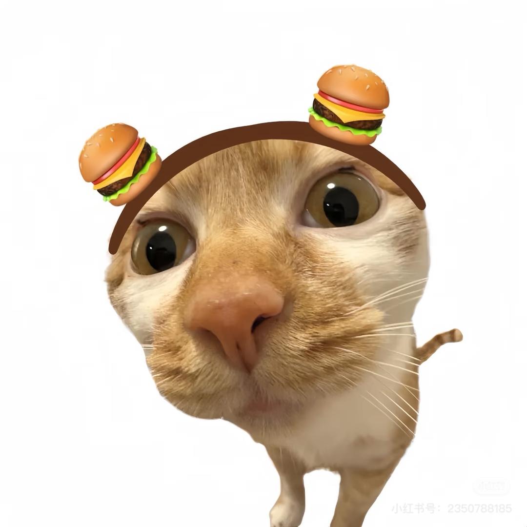 爱吃帕尼ni