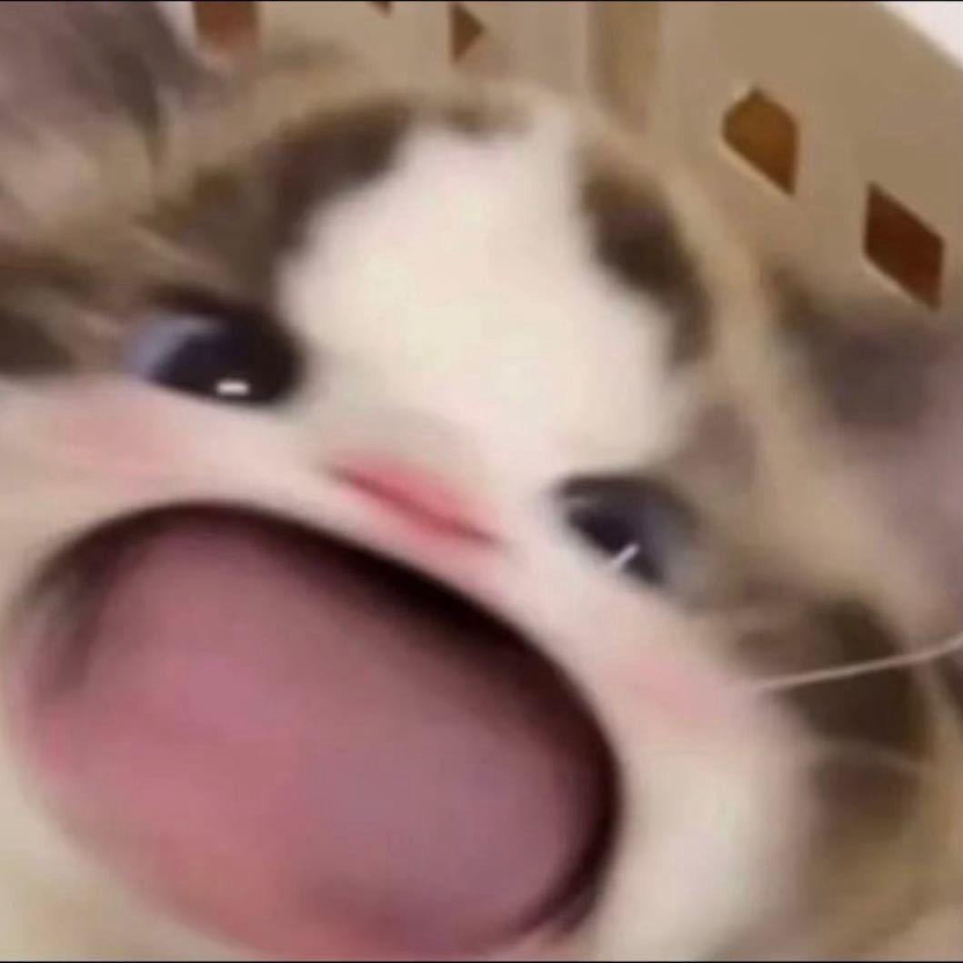 鑫妹