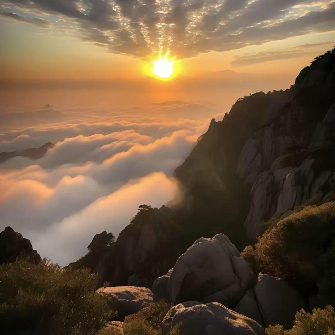 静可居
