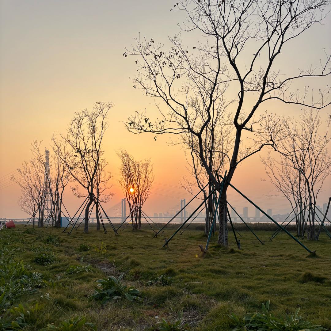 今天