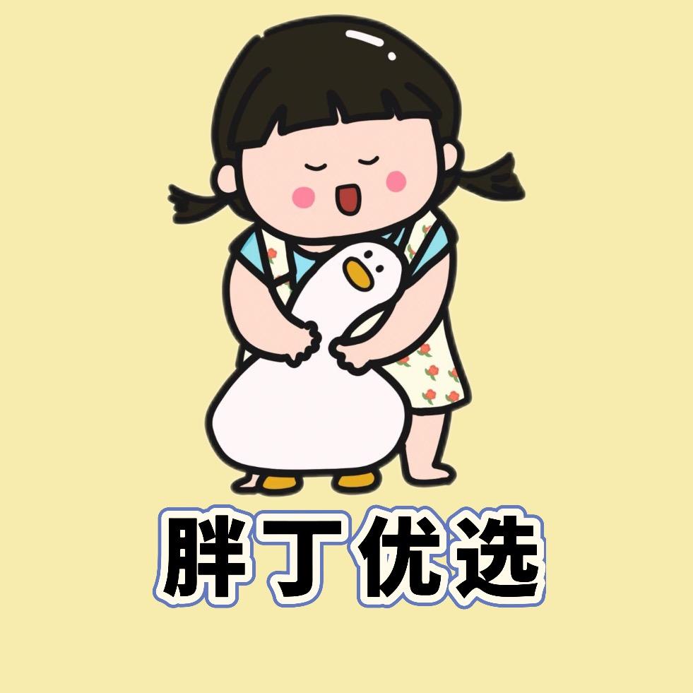 胖丁优选
