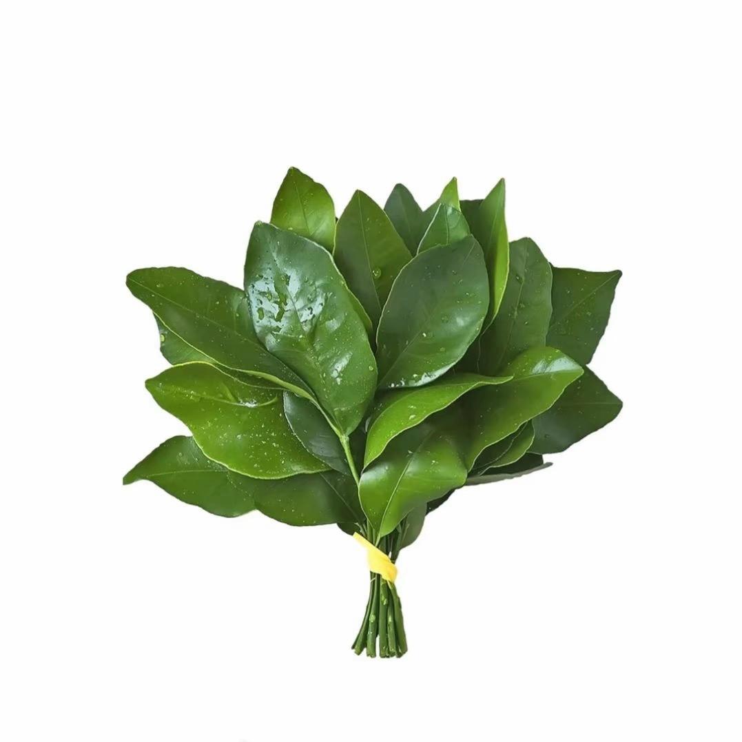菲菲～