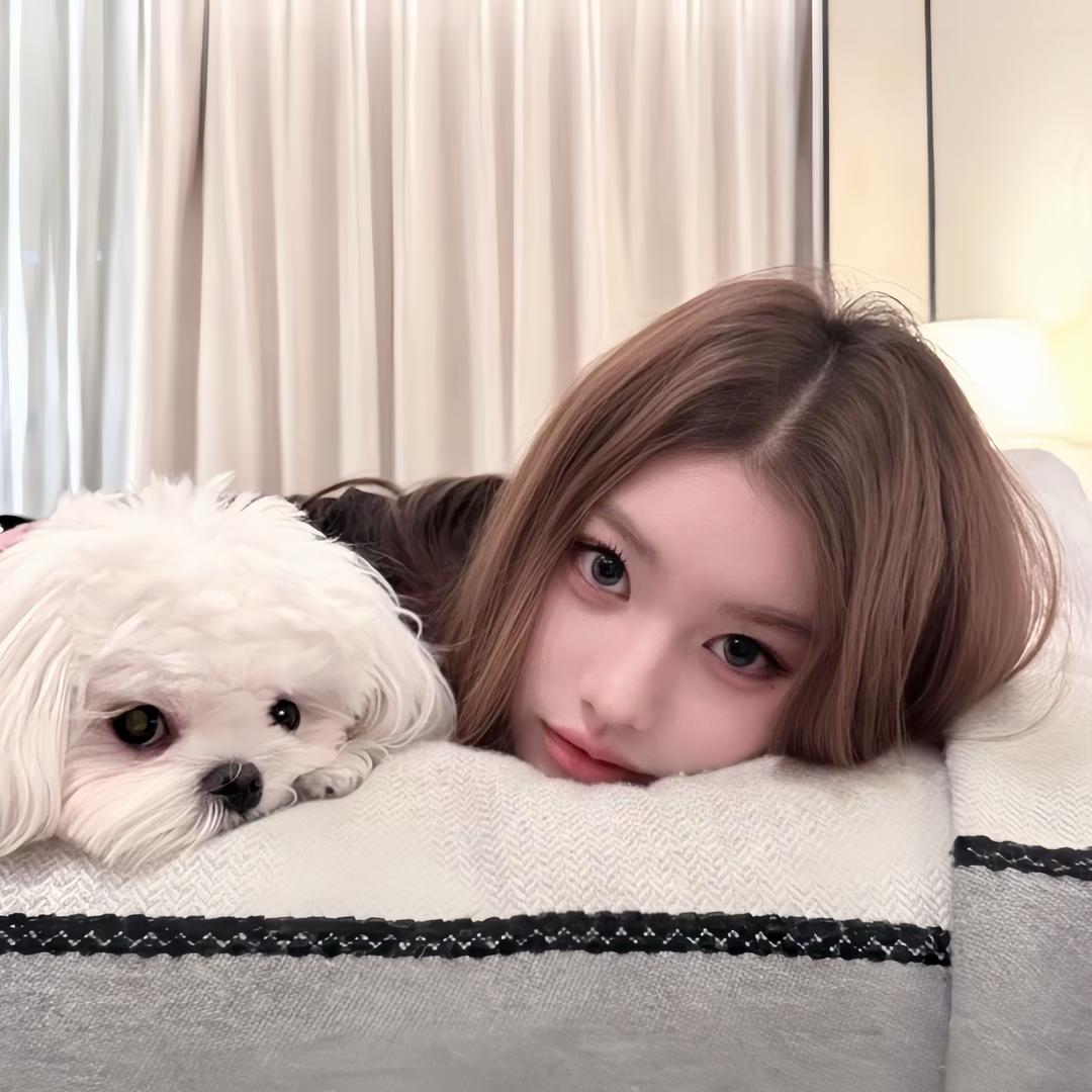 ㅤㅤ^o^ㅤㅤㅤㅤㅤㅤ