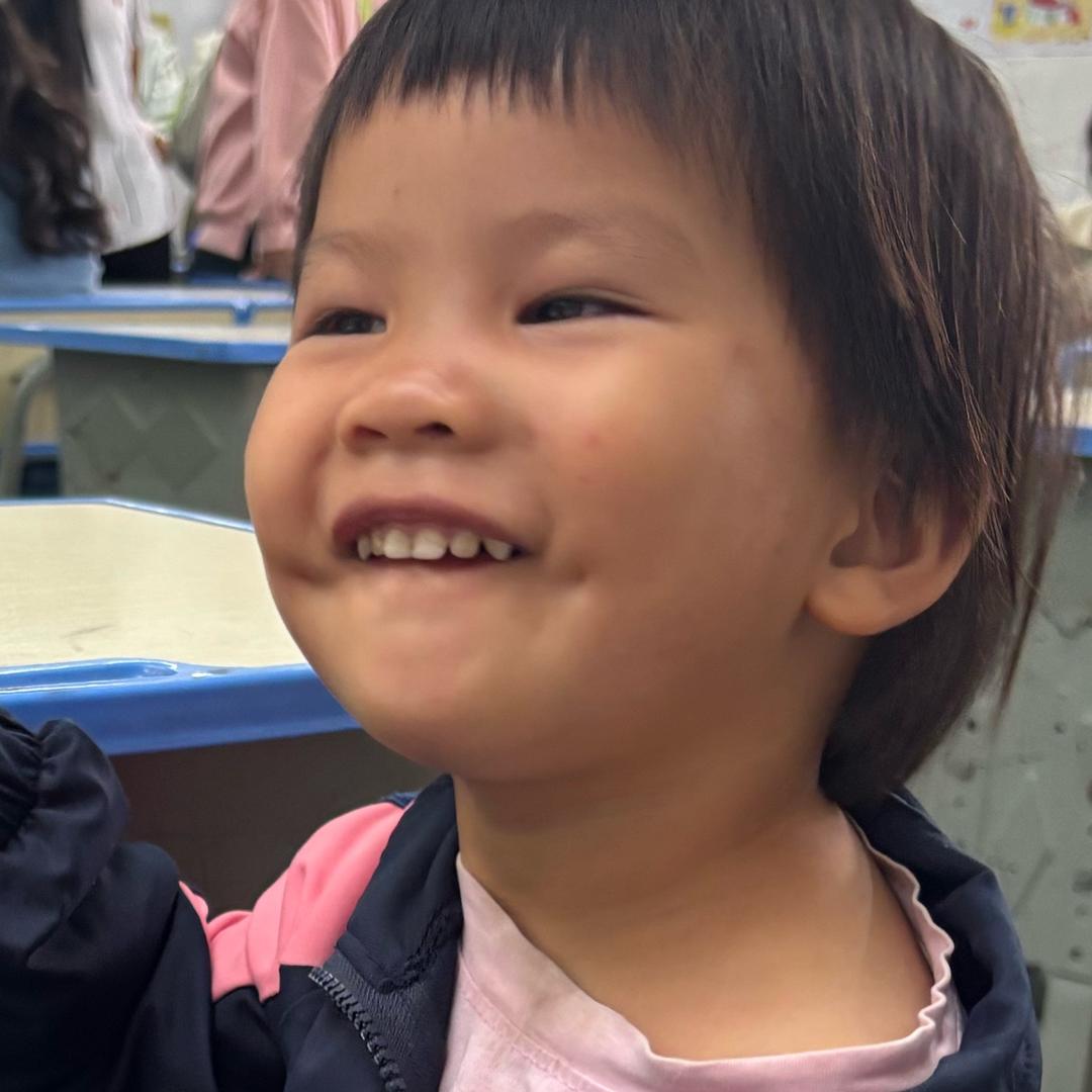 陶子生活记录