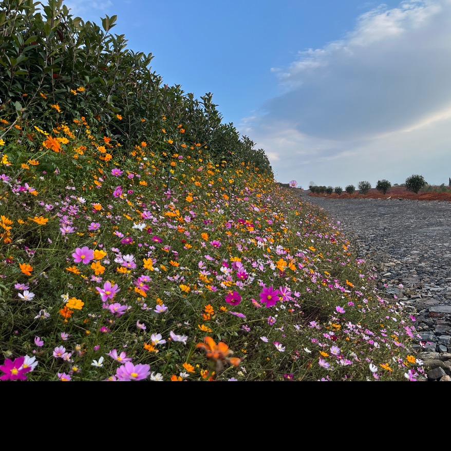 就让往事随风去