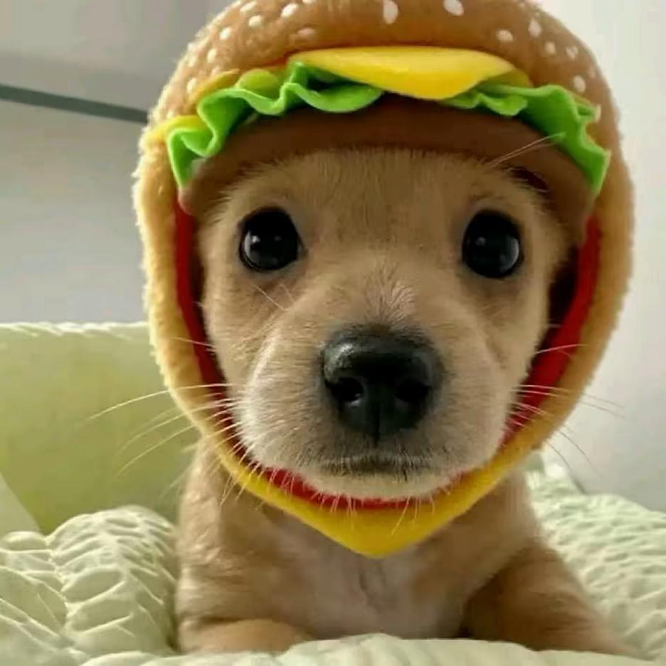 ㅤㅤㅤㅤㅤㅤㅤㅤㅤㅤㅤㅤㅤ小云y